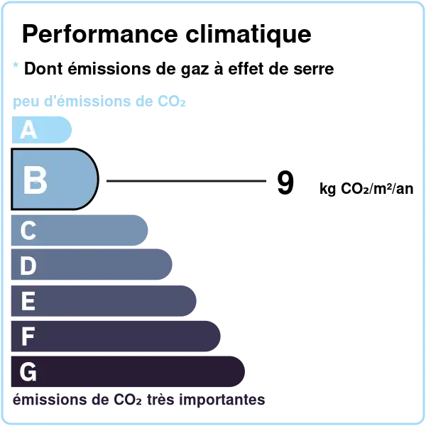 GES appartement viager occupé Strasbourg hypercentre - Classe B