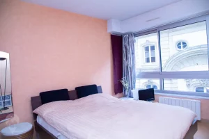 chambre-viager-occupe-hypercentre-strasbourg