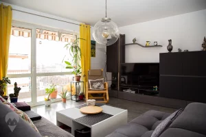 Appartement viager occupe mulhouse salon