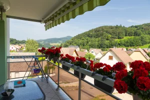 Appartement viager occupé Orbey balcon