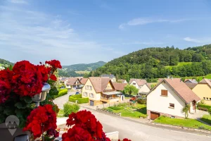 Appartement viager occupé Orbey vue 2