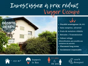 Maison en viager occupe sans rente Seppois le Bas (Haut-Rhin, Alsace)