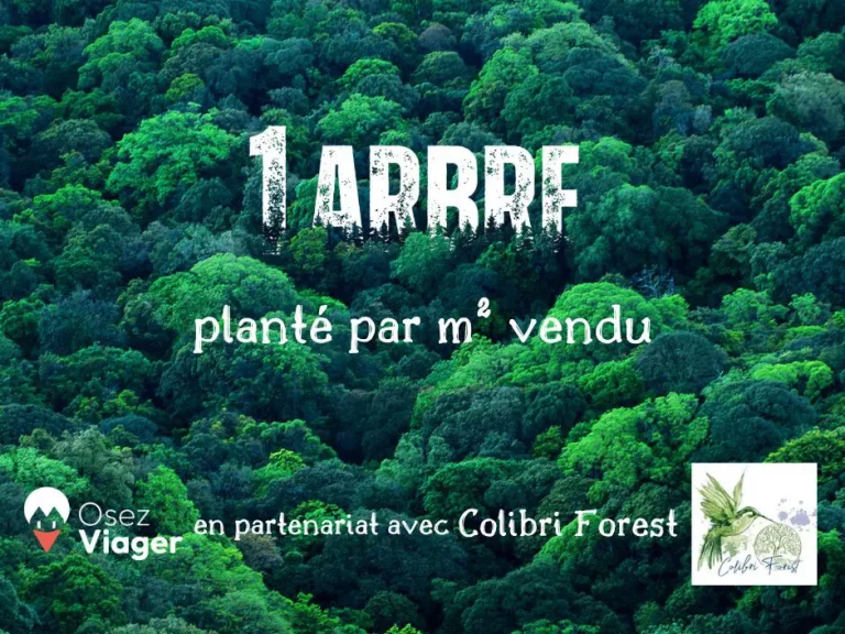 Plantation d'arbres financée par Osez Viager avec l'association Colibri Forest