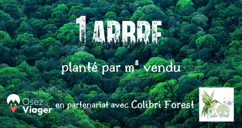 Plantation arbres avec Osez Viager suite à chaque vente en viager