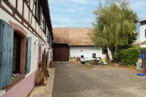 Appartement en vente a terme occupé Ostheim cour