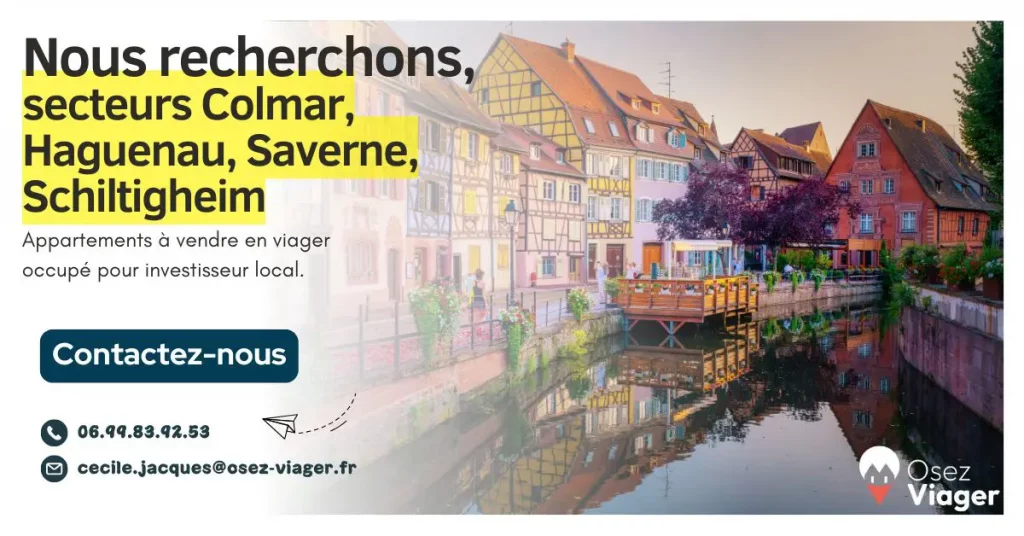 Recherche viagers a Strasbourg Colmar Haguenau et Saverne