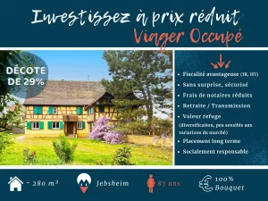 jebsheim maison viager ou vente a terme