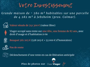 Jebsheim viager occupe resume investissement