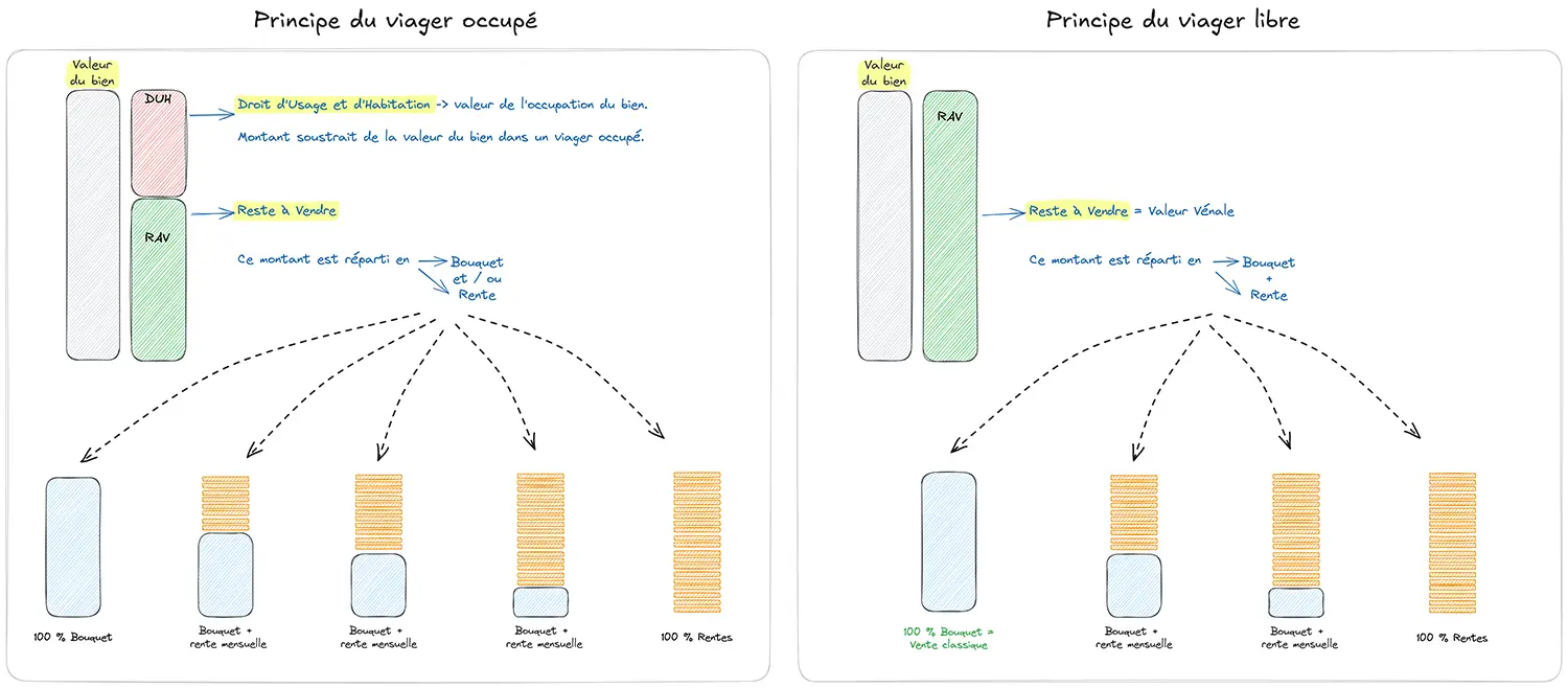 Schéma comparatif viager occupé vs viager libre - principes économiques