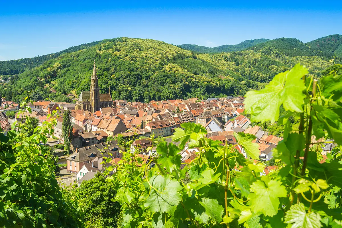 Village du Haut-Rhin - projet viager