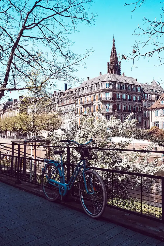 Strasbourg - vendre en viager dans la capitale alsacienne