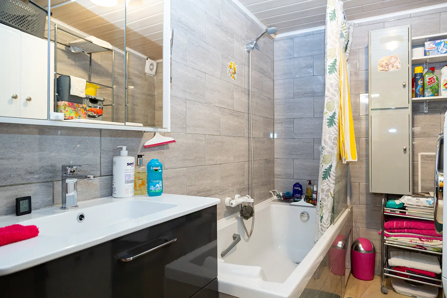 Maison de village entièrement rénovée - Nordheim, Kochersberg (67) Studio - SDB