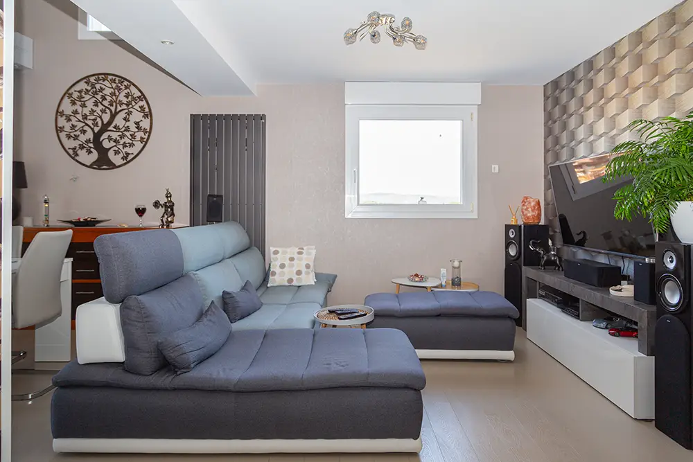 Maison viager occupé sans rente Dangolsheim - libre dans 15 ans Maison récente en viager occupé Dangolsheim salon