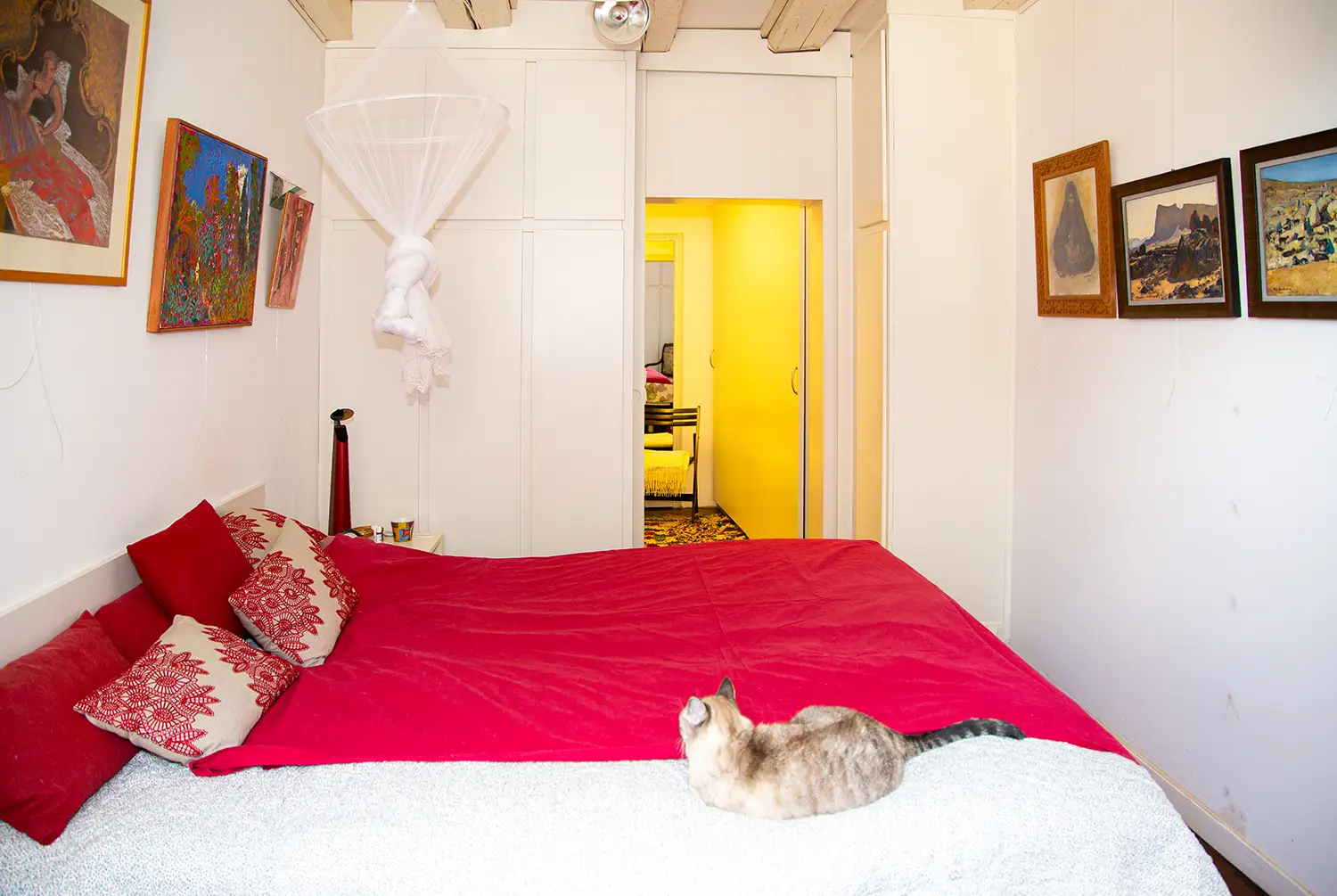 Appartement 125 m² en viager occupé à Colmar Appartement hyper centre Colmar-chambre vue 2