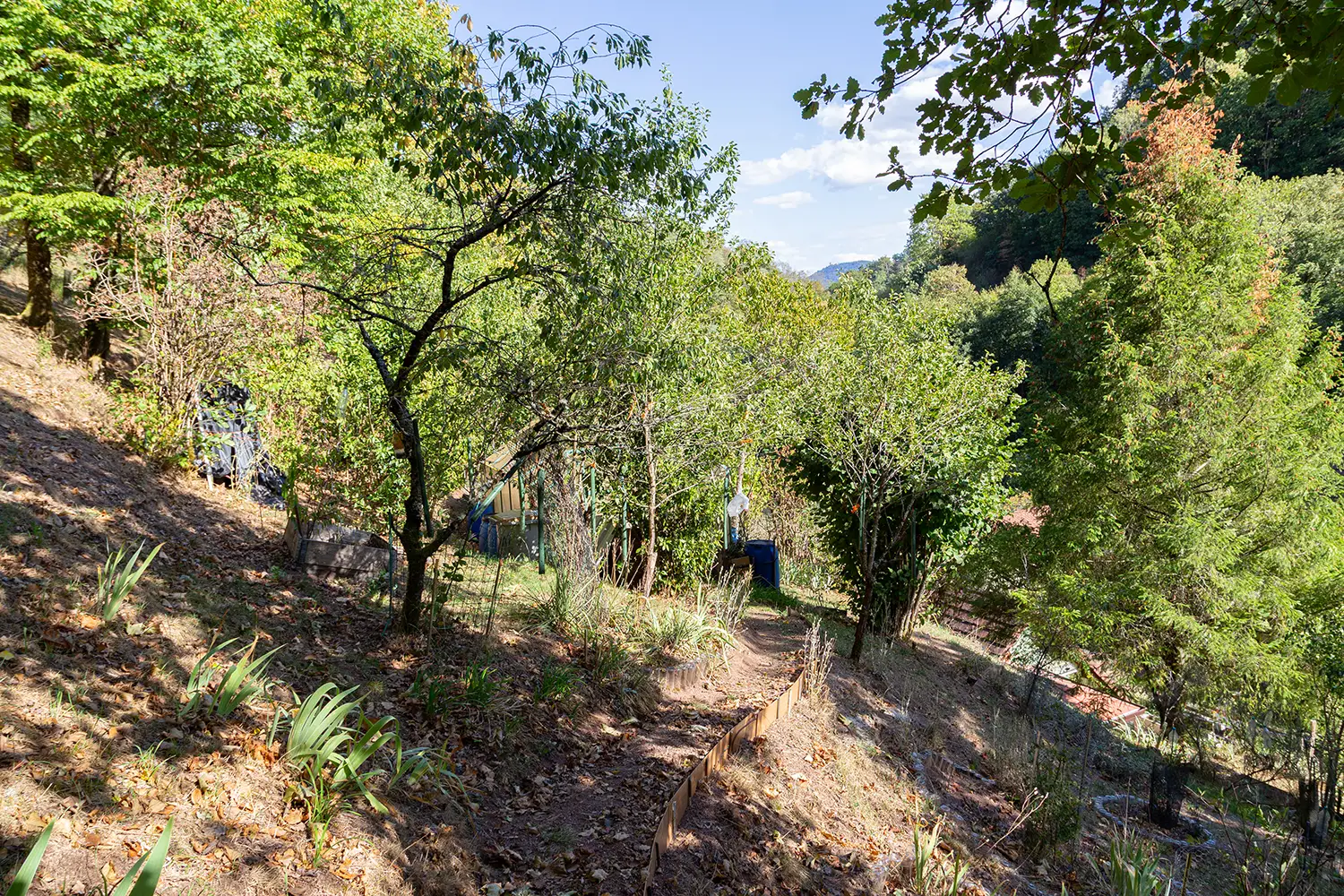 Maison viager occupé sans rente Rombach-le-Franc - 0 rente, décote 49 % Maison en viager occupé sans rente à Rombach le Franc-terrain vue 1